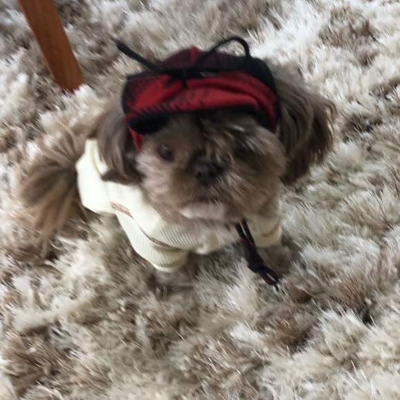 Welcome to my posh world :-) - Picture 3 of 3